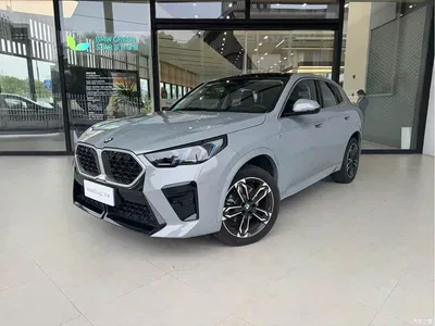 2025 BMW X2 (Import) sDrive25i M Sport Package, фото 1, лот 10475568