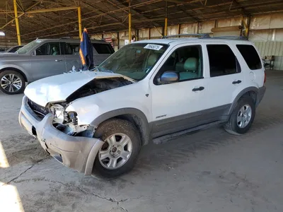 2002 FORD ESCAPE XLT, фото 1, лот 10981675
