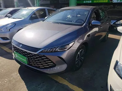 2025 BYD Qin PLUS DM-i Smart Drive Edition 120KM Surpassing Type, фото 2, лот 11564655
