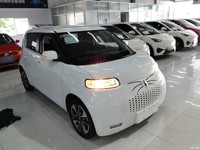 2022 Ora White Cat Upgraded 305km Luxury (NMC), фото 4, лот 10330724
