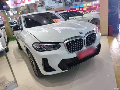 2022 BMW X4 xDrive 30i M Sport Package, фото 4, лот 10476905