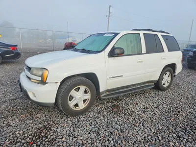 2003 CHEVROLET TRAILBLAZER, фото 1, лот 10975911