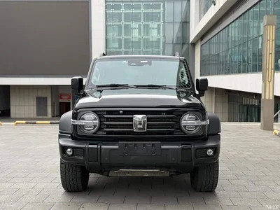 2021 Tank 300 Off-road Version 2.0T Conqueror, фото 3, лот 10450350