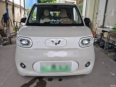 2024 Wuling Motors Hongguang MINIEV 3rd Generation 215km Youth Edition, фото 3, лот 10368983