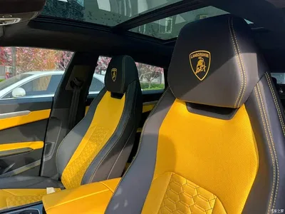 2021 Lamborghini Urus 4.0T V8, фото 4, лот 10308761