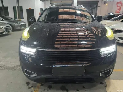 2017 Lynk & Co 01 2.0T 2WD Pro Version, фото 3, лот 10317071