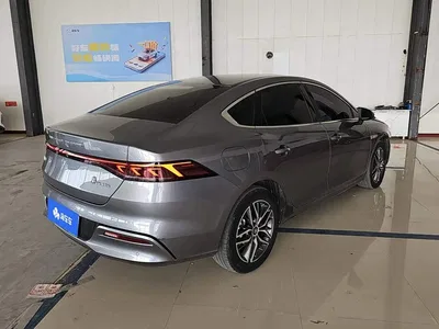 2021 BYD Qin PLUS EV 500KM Premium Model, фото 3, лот 11103549