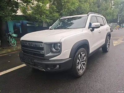 2024 Haval Big Dog 1.5T DCT Border Collie Edition, фото 2, лот 10593587
