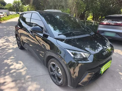2024 BYD Seagull Glory Edition 405km Soaring Edition, фото 4, лот 10611527