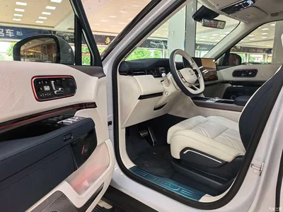 2025 ZEEKR 9X Model Standard, фото 4, лот 10888585