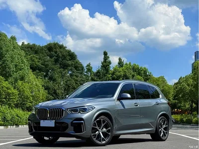 2022 BMW X5 Facelift xDrive 40Li M Sport Package, фото 1, лот 10237718