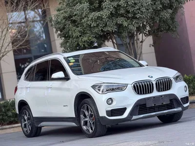 2019 BMW X1 sDrive18Li Premium Model, фото 3, лот 10481627