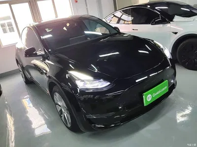 2021 Tesla Model Y Standard Range Rear-Wheel Drive, фото 4, лот 10370330