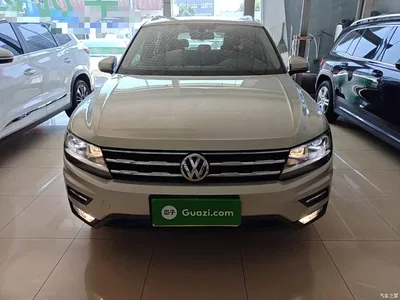 2019 Volkswagen Tiguan L 330TSI Automatic 2WD Panorama Comfort Edition China VI, фото 3, лот 10462910