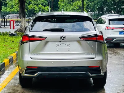 2018 Lexus NX Model 200 AWD Fengshang Edition China V, фото 4, лот 10312187