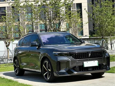 2025 Voyah Auto VOYAH FREE 318 259km 4WD Explorer Edition, фото 3, лот 10310256