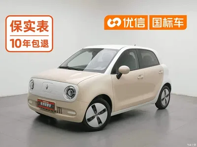 2021 Ora Black Cat 301km Pet Edition, фото 1, лот 10330365
