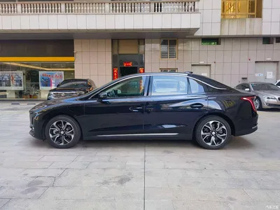 2021 Hongqi E-QM5 Ride-hailing Charging Basic Edition 4-seater, фото 2, лот 10360960