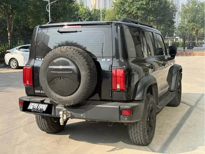 2021 Tank 300 Off-road Version 2.0T Conqueror, фото 2, лот 11270872