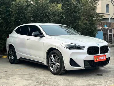 2023 BMW X2 sDrive25i M Sport Shadow Edition, фото 3, лот 10475459