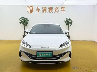 2025 BYD Seal 06 New Energy DM-i Smart Drive Edition 120KM Luxury, фото 2, лот 10274014