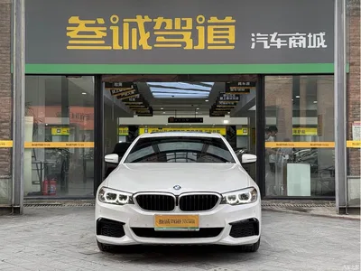 2019 BMW 5 Series 530Li Leading M Sport Package, фото 2, лот 11137001