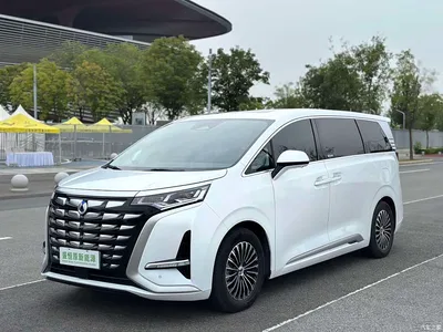 2022 Denza D9 DM-i 970 All-Wheel Drive Honor Edition, фото 1, лот 11175078