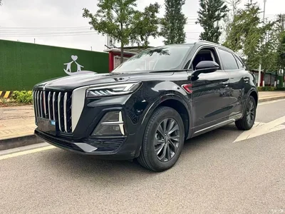 2023 Hongqi HS5 2.0T Flag Enjoy Pro Edition, фото 1, лот 10288901
