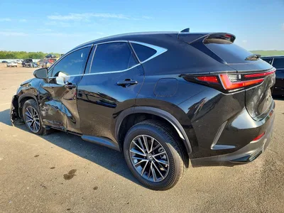 2025 LEXUS NX 350 BASE, фото 2, лот 10900394