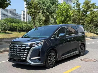 2022 Denza D9 DM-i 970 All-Wheel Drive Honor Edition, фото 1, лот 10356561