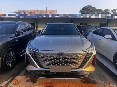 2022 Oshan Z6 Blue Whale 1.5T DCT Intelligent Leader, фото 2, лот 10412317