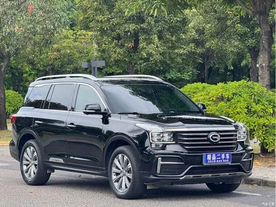 2021 GAC Trumpchi Trumpchi GS8 390T 2WD Luxury Smart Connect Edition (7-seater), фото 3, лот 11552019