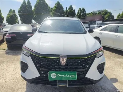 2021 Roewe RX5 New Energy Model ePLUS National Trend Ronglin Luxury Edition, фото 3, лот 10341790
