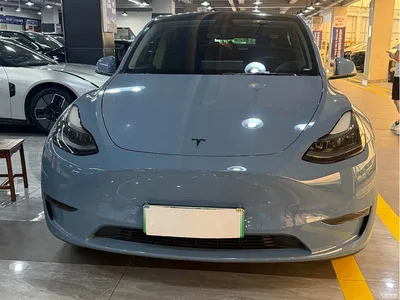 2021 Tesla Model Y Standard Range Rear-Wheel Drive, фото 2, лот 10404190