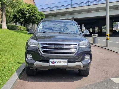 2020 Haval H9 2.0T Gasoline 4WD Luxury 7-Seater, фото 2, лот 11548067