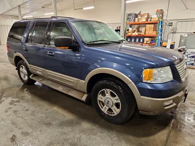 2004 FORD EXPEDITION EDDIE BAUER, фото 4, лот 10983574