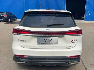 2022 Changan Oshan X7 PLUS 1.5T Blue Whale Edition Auto Executive, фото 4, лот 10407271