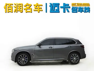 2022 BMW X5 Facelift xDrive 30Li Premium M Sport Package, фото 3, лот 10462708