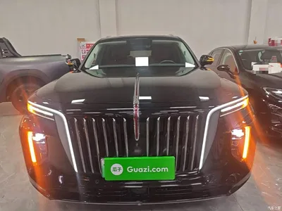 2021 Hongqi E-HS9 460km Flagship Comfort 6-seater, фото 3, лот 10289420