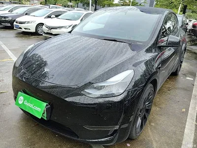 2023 Tesla Model Y Long Range All-Wheel Drive Edition, фото 1, лот 10370272