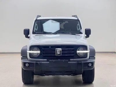 2024 Tank 300 Model 2.0T Challenger, фото 2, лот 10766005