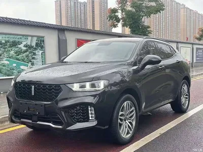 2017 WEY VV5 2.0T Super Luxury Model, фото 3, лот 10451951