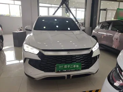 2024 BYD Song Pro New Energy Glory Edition DM-i 71KM Pilot, фото 3, лот 10276817
