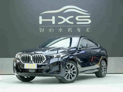2023 BMW X6 xDrive30i M Sport Package, фото 1, лот 10425497