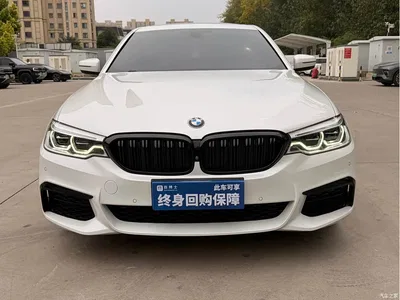 2020 BMW 5 Series 530Li Leading M Sport Package, фото 2, лот 10765036