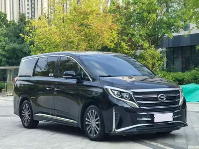 2021 GAC Trumpchi Trumpchi M8 Leading Show Series 390T Ultimate Edition, фото 3, лот 10629846
