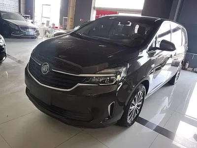 2020 Buick GL8 Model Land Business Class 652T Comfort, фото 1, лот 10259146