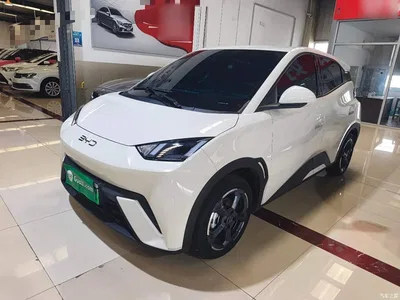 2024 BYD Seagull Glory Edition 305km Freedom Edition, фото 1, лот 10260376