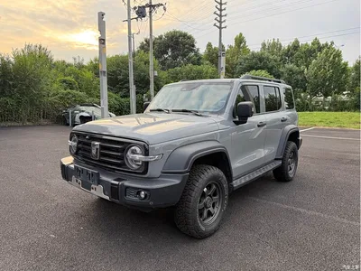 2024 Tank 300 Model 2.0T Challenger, фото 1, лот 10344607