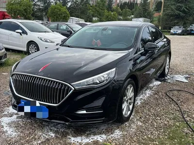 2019 Hongqi H5 30TD Style Edition, фото 1, лот 10289166